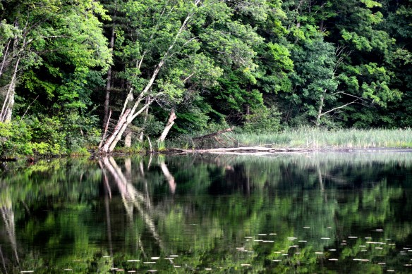 Lin and Michael's Photos