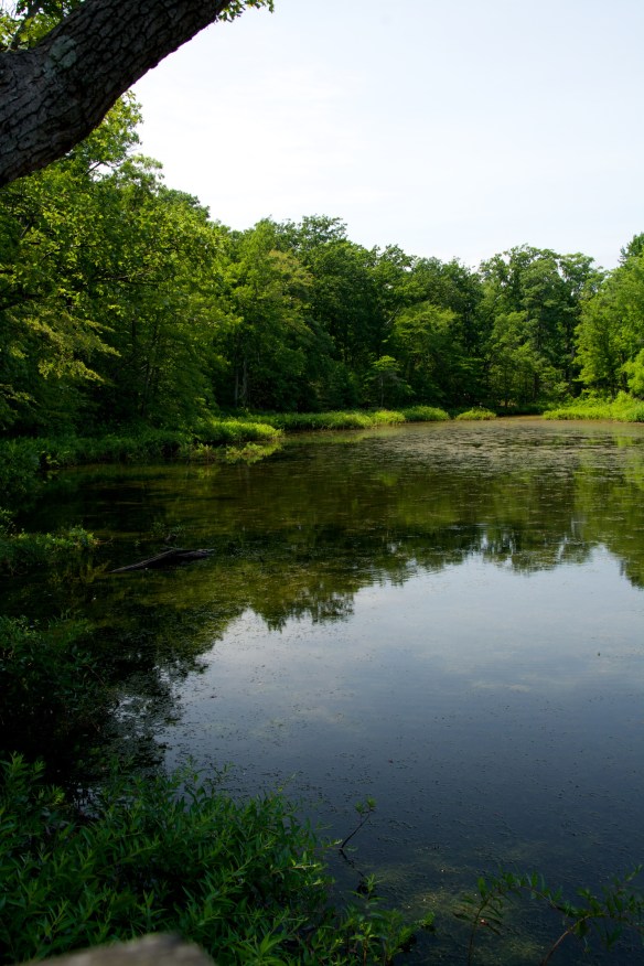 Lin and Michael's Photos