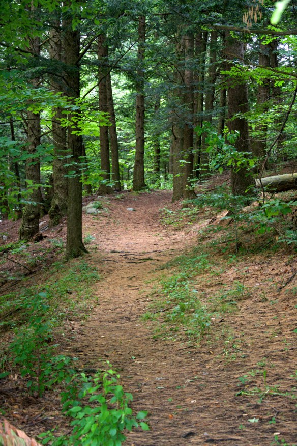 Lin and Michael's Photos