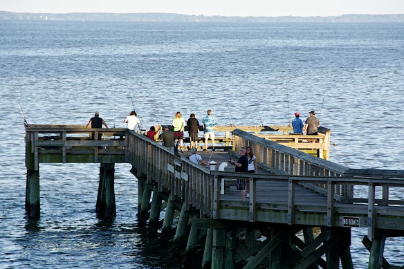 Lin and Michael's Photos