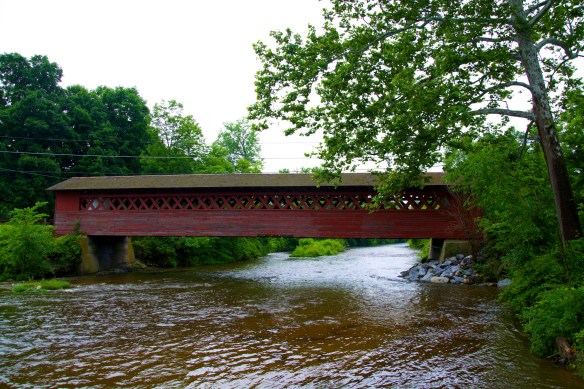 Lin and Michael's Photos