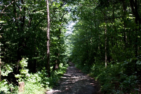 Lin and Michael's Photos