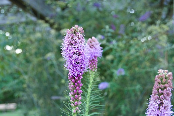 Lin and Michael's Photos