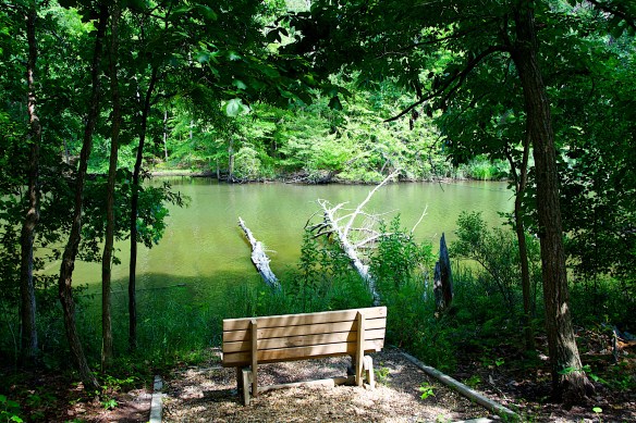 Lin and Michael's Photos