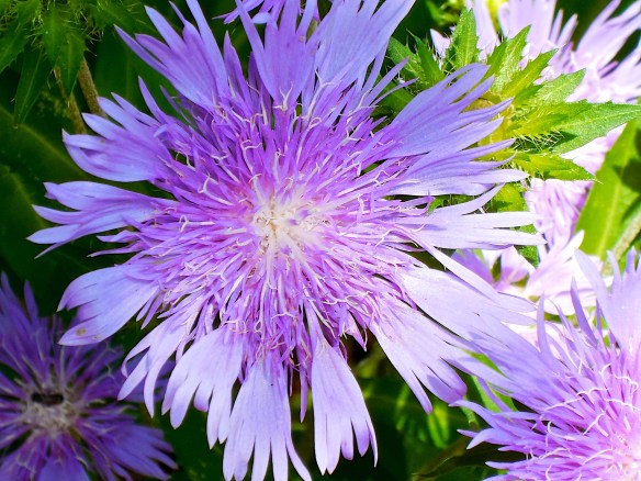 Lin and Michael's Photos