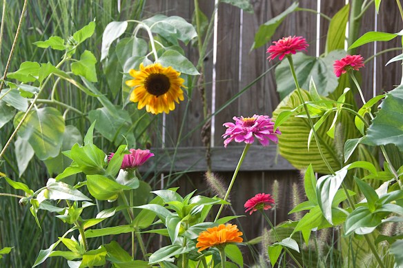 Lin and Michael's Photos