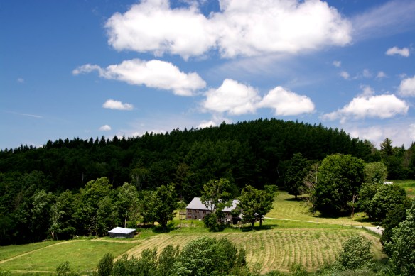 Lin and Michael's Photos