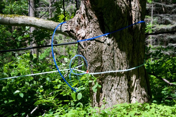 Lin and Michael's Photos