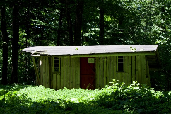 Lin and Michael's Photos