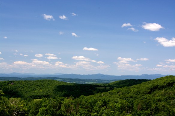 Lin and Michael's Photos