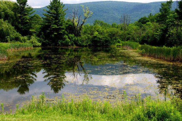 Lin and Michael's Photos