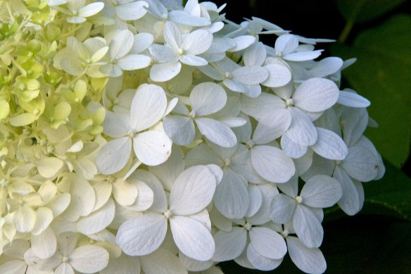 Lin and  Michael's Photos