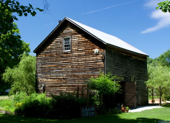 Lin and Michael's Photos