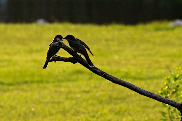 Lin and Michael's Photos