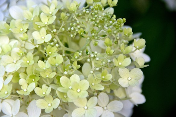 Lin and  Michael's Photos