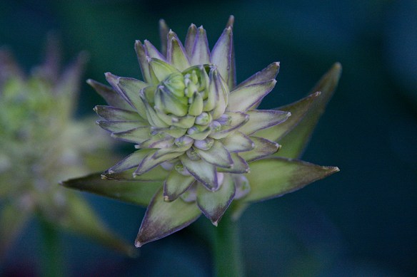 Lin and Michael's Photos