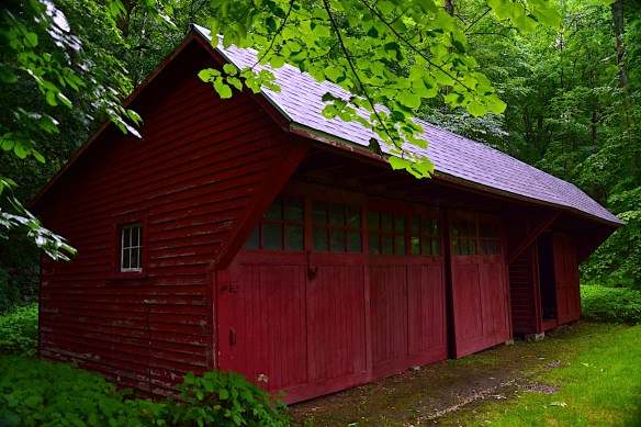 Lin and Michael's Photos