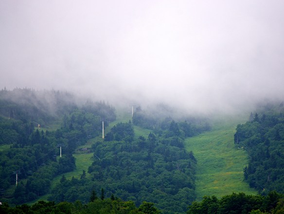 Lin and Michael's Photos