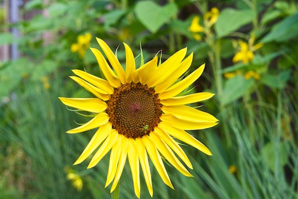 Lin and Michael's Photos