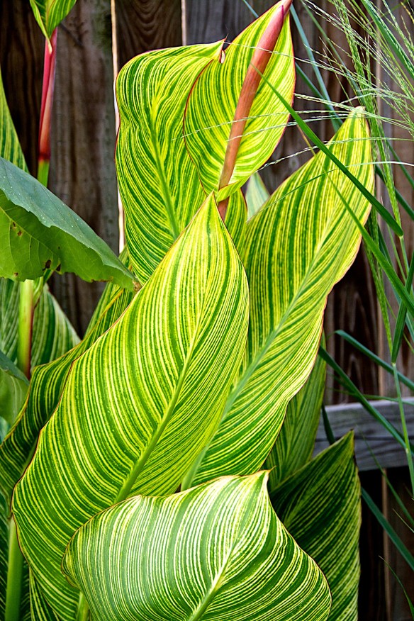 Lin and Michael's Photos