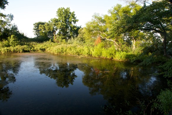 Lin and Michael's Photos