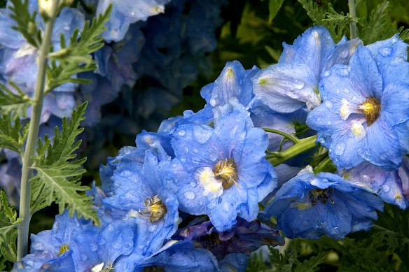 Lin and Michael's Photos