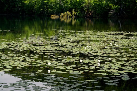 Lin and Michael's Photos