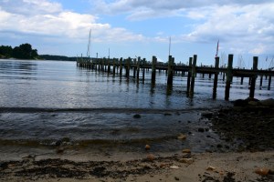 Lin and Michael's Photos