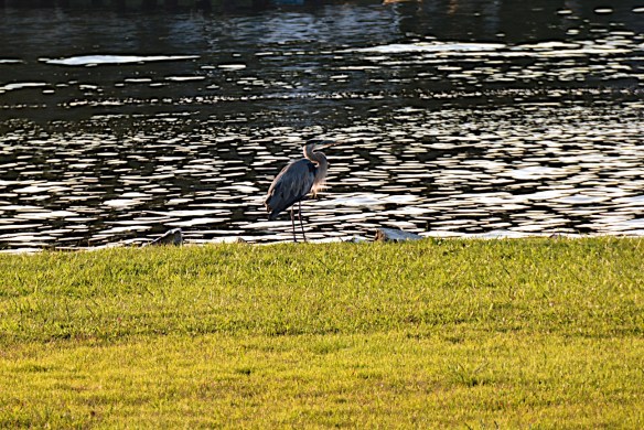 Lin and Michael's Photos