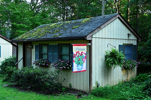 Lin and Michael's Photos