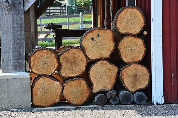 Lin and Michael's Photos.