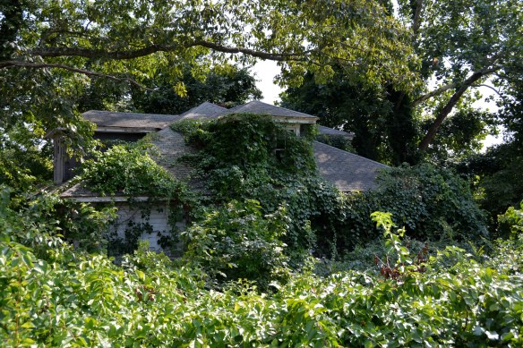 Lin and Michael's Photos