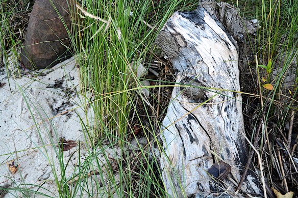 Lin and Michael's Photos