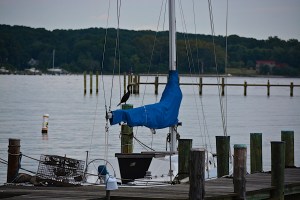 Lin and Michael's Photos