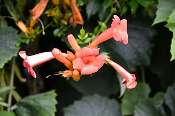 Lin and Michael's Photos