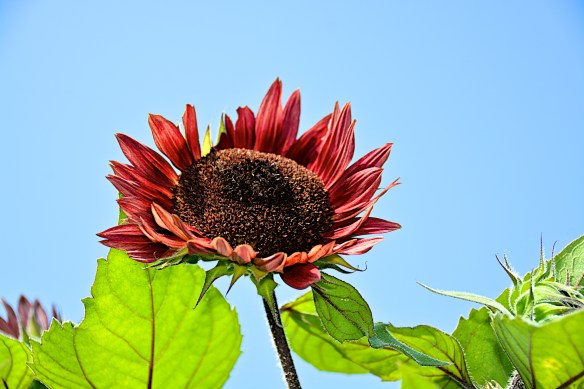 Lin and Michael's Photos