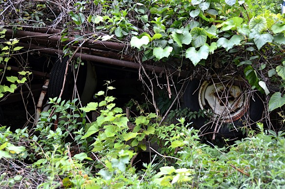 Lin and Michael's Photos