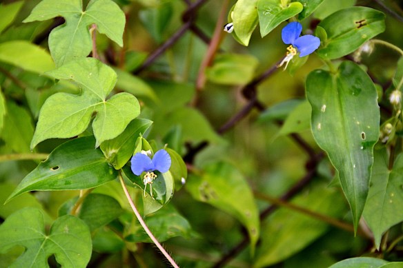 Lin and Michael's Photos