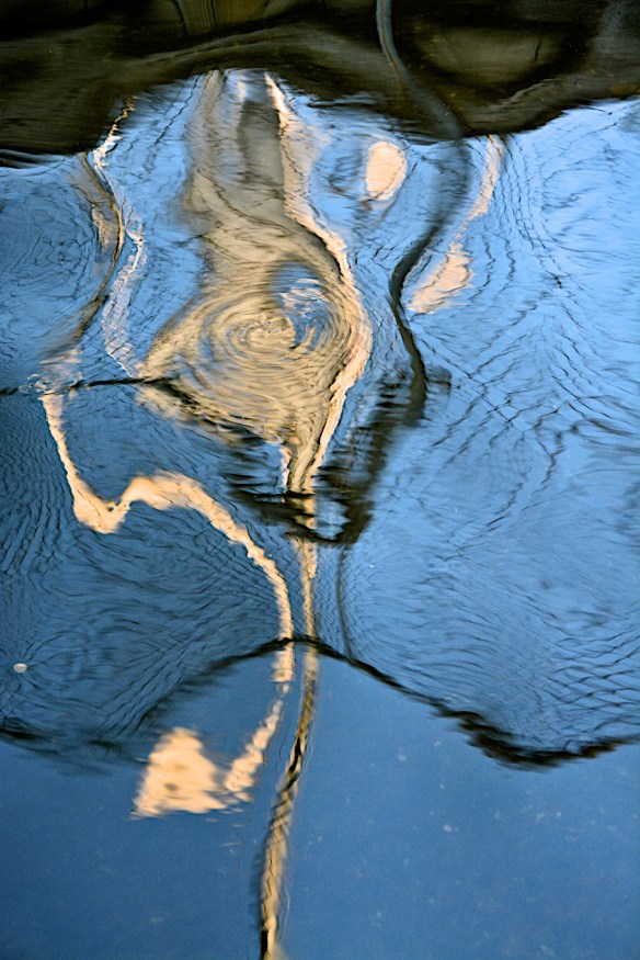 Lin and  Michael's Photos