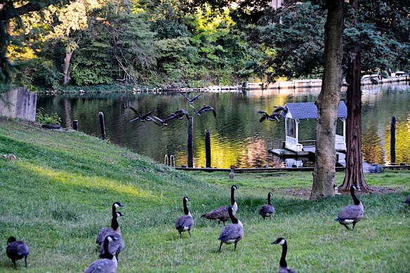 Lin and  Michael's Photos