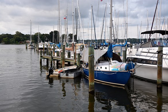 Which one would you like