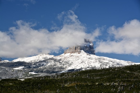 Lin and Michael's Photos