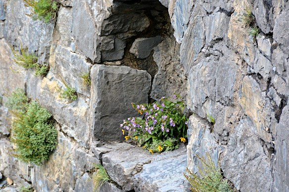 Lin and Michael's Photos