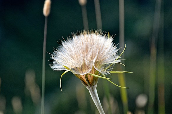 Lin and Michael's Photos