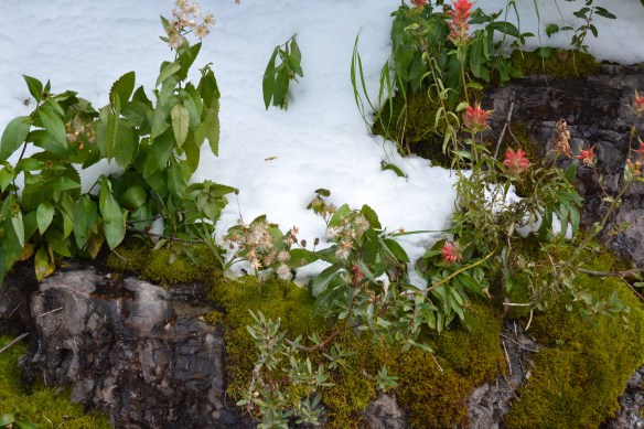 Lin and Michael's Photos