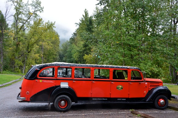 Lin and Michael's Photos