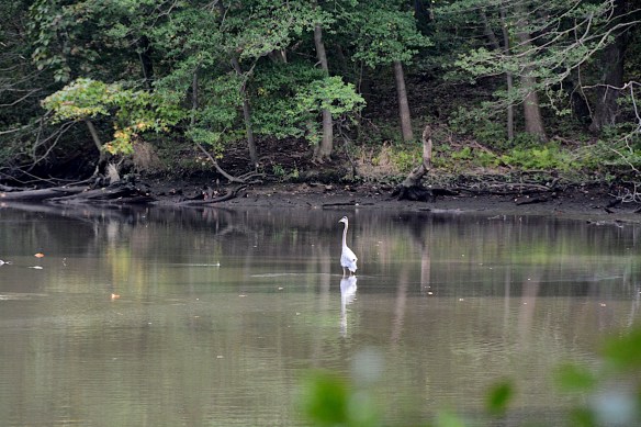 Lin and Michael's Photos