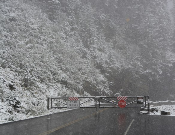 Lin and Michael's Photos