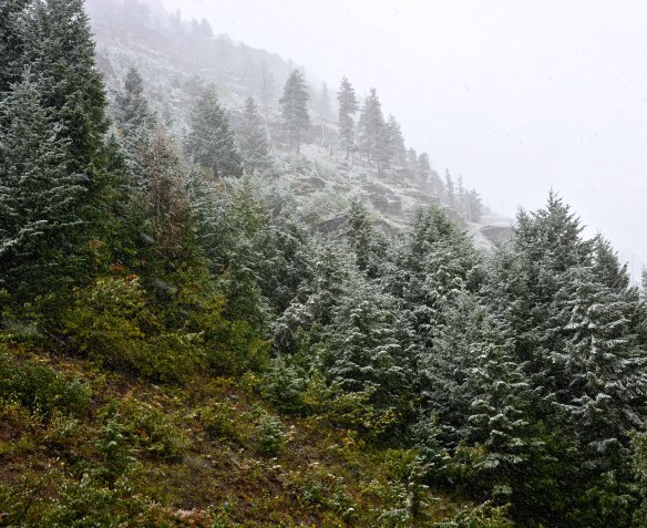 Lin and Michael's Photos