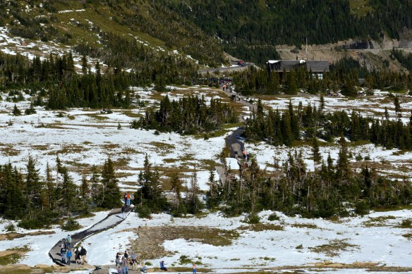 Lin and Michael's Photos